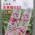 花糯玉米