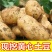 黄皮黄心土豆大量供应，量大从优，欢迎咨询订购