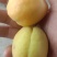 剀特杏，，，，，，，，，，，，，，，，，，，