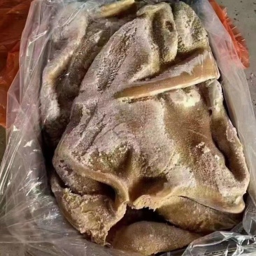 牛肚