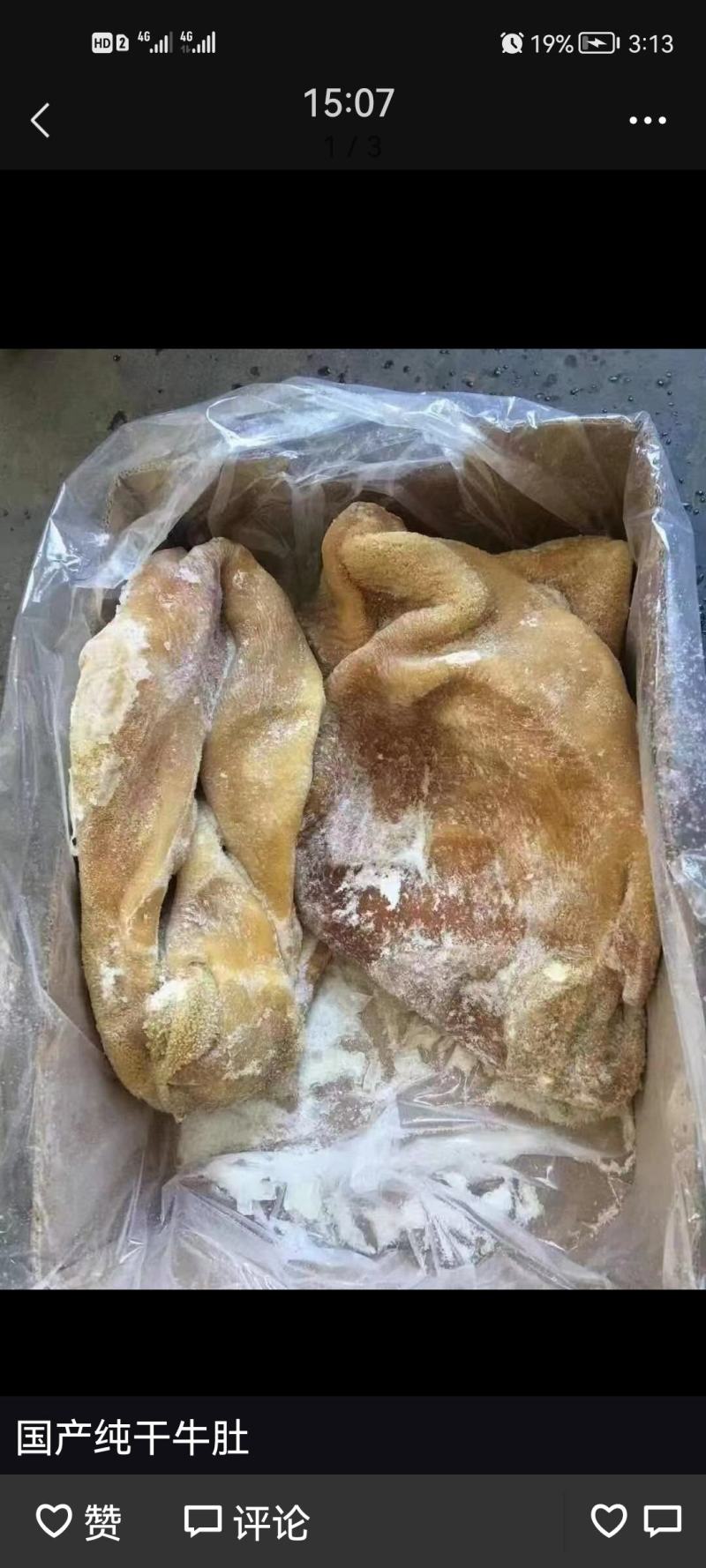 牛肚