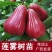 嫁接莲雾果树苗黑金刚莲雾苗大叶红带土带叶发广西发货果树苗