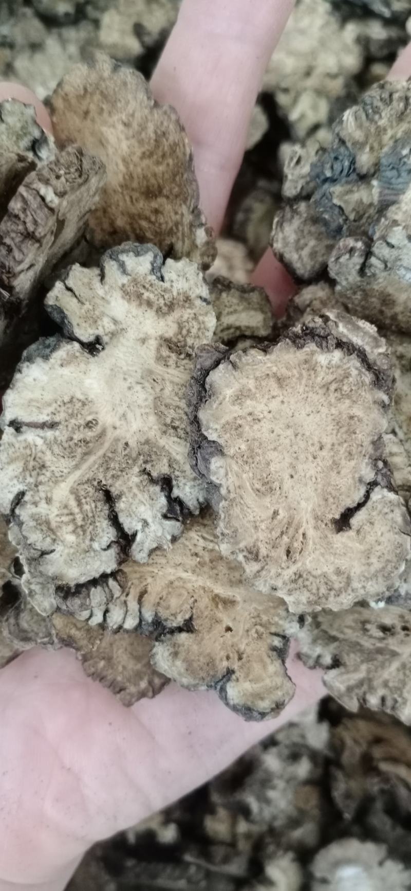 川芎，各种等级川芎，川芎碎渣，中药材批发