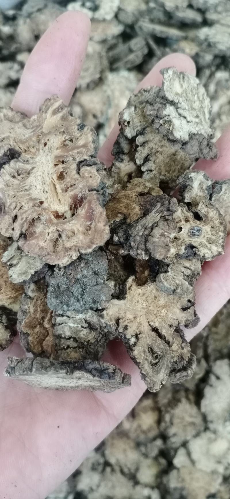 川芎，各种等级川芎，川芎碎渣，中药材批发
