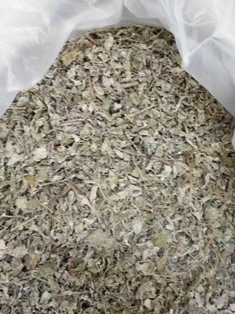 广西金秀大瑶山金银藤茶