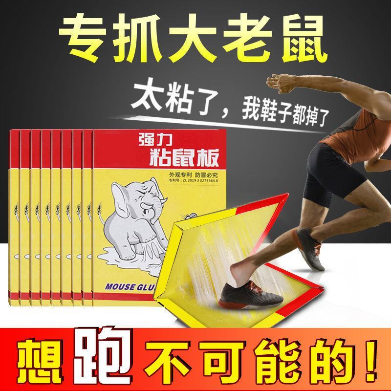超强力粘鼠板捉抓粘大老鼠贴驱胶药灭捕鼠神器克星正品家用一