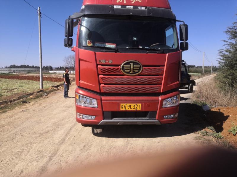 精选云南土豆大量上市产地直发保质保量对接各大电商批发商
