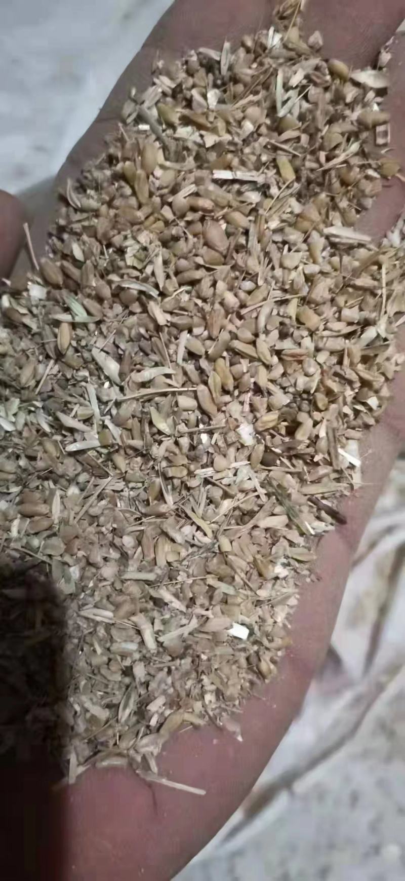 碎小麦，小麦，毛粮，净粮，无土，无沙，无霉变，