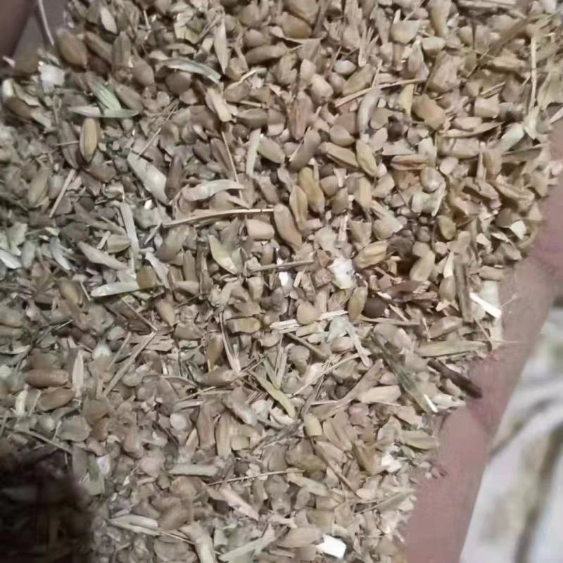 碎小麦，小麦，毛粮，净粮，无土，无沙，无霉变，