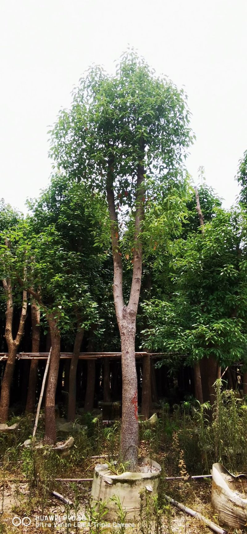 骨架想要10-25都有大量现货，欢迎咨询