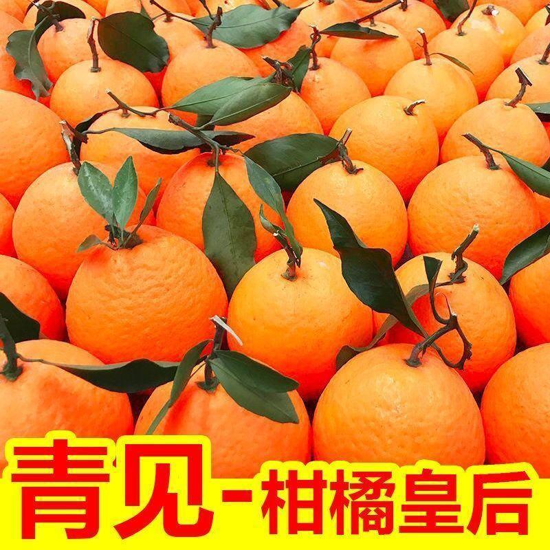 四川眉山爱媛青见果冻橙38号新鲜孕妇水果现摘整箱批发橙子