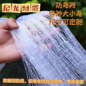 果树尼龙防鸟网樱桃葡萄果园农田稻谷鱼塘防鸟天网户外大棚防