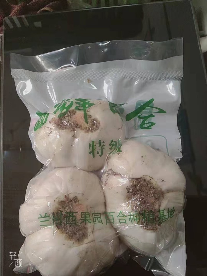 兰州特大果精美包装独头两头三头鲜百合，可定制各种规格！