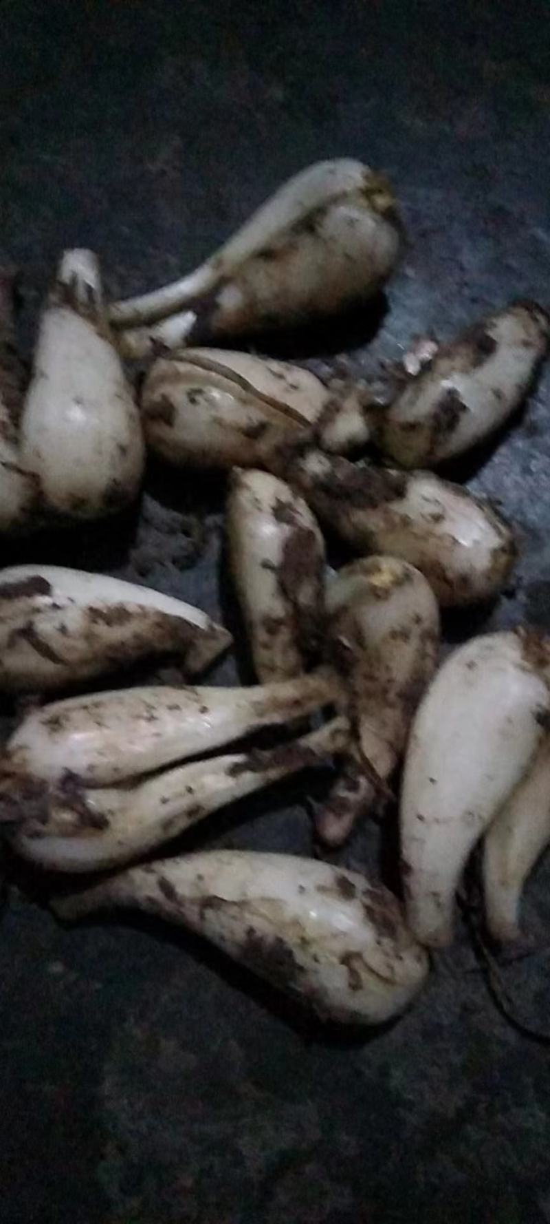 重庆丰都蕌头不包运费，要的多价格可谈