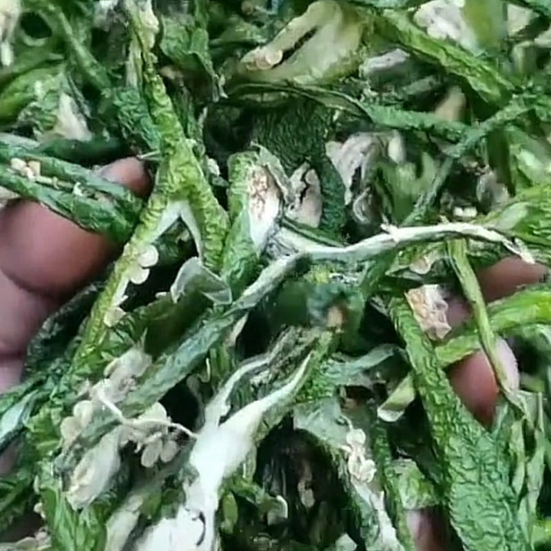 精选干绿辣椒皮青辣椒片青辣椒条绿辣椒条青椒丝厚皮