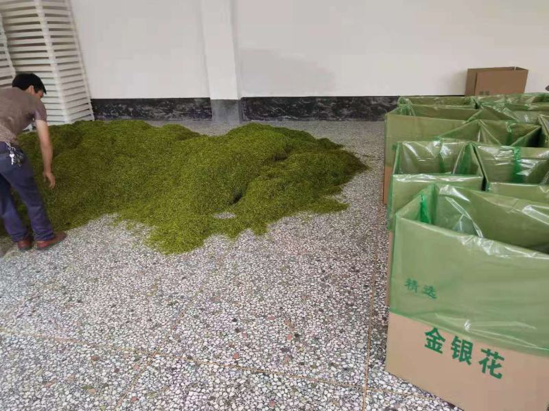 山银花选货，量大从优，产地直发大量货源欢迎咨询选购
