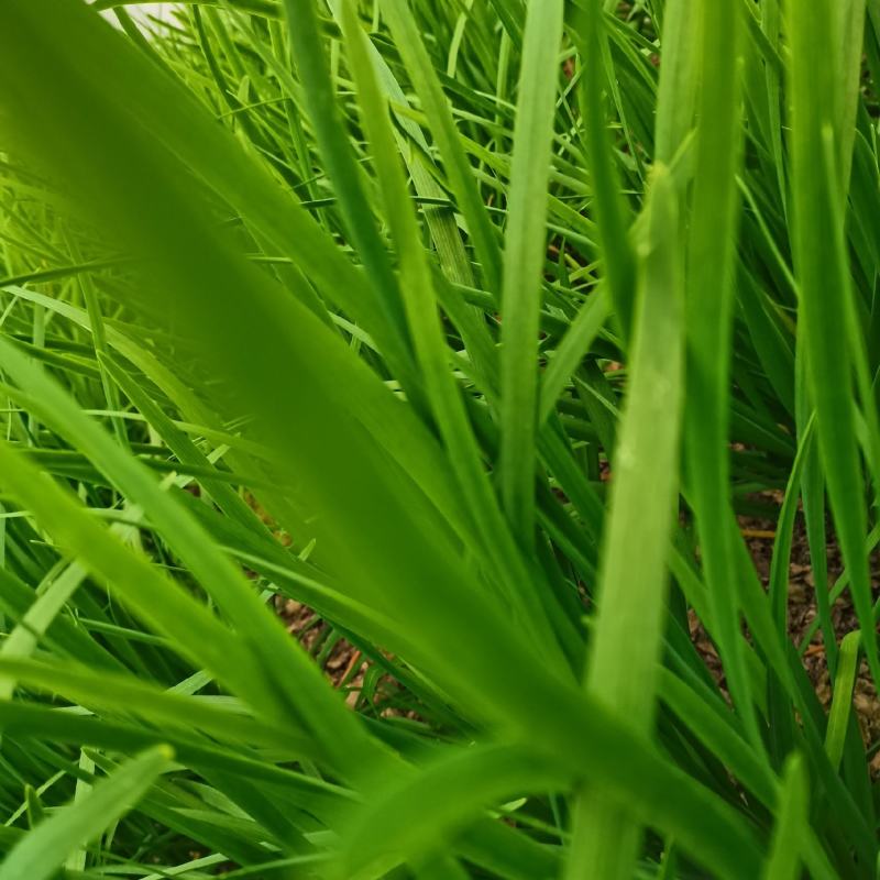 上海市浦东新区