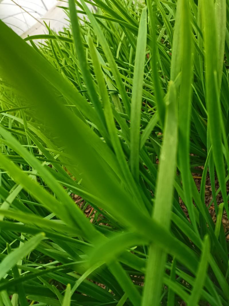 上海市浦东新区