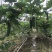 基地货源