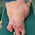 国产黄牛牛头肉，厂家直营，一件也是批发价。手续齐全可以定