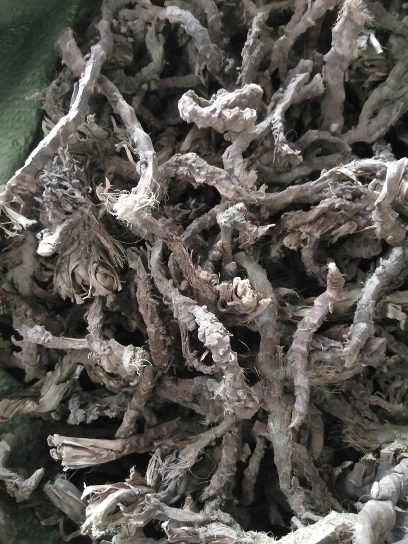 重庆地产中药材石菖蒲大统货，毛须少，根头大，无硫，无霉变