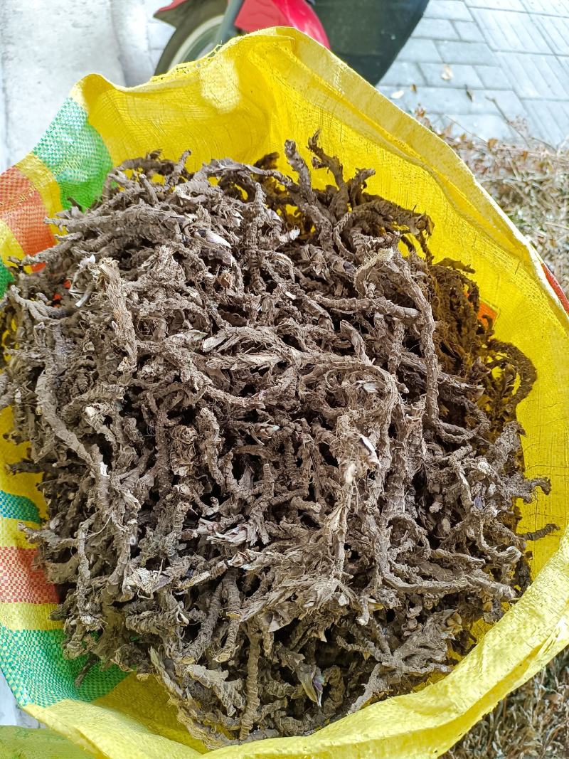 重庆地产中药材石菖蒲大统货，毛须少，根头大，无硫，无霉变