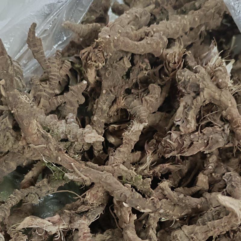 重庆地产中药材石菖蒲大统货，毛须少，根头大，无硫，无霉变