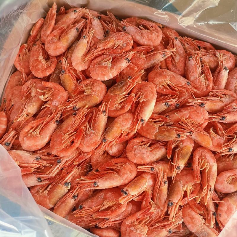 山东青岛北极甜虾、新到货品、货源充足，量大从优