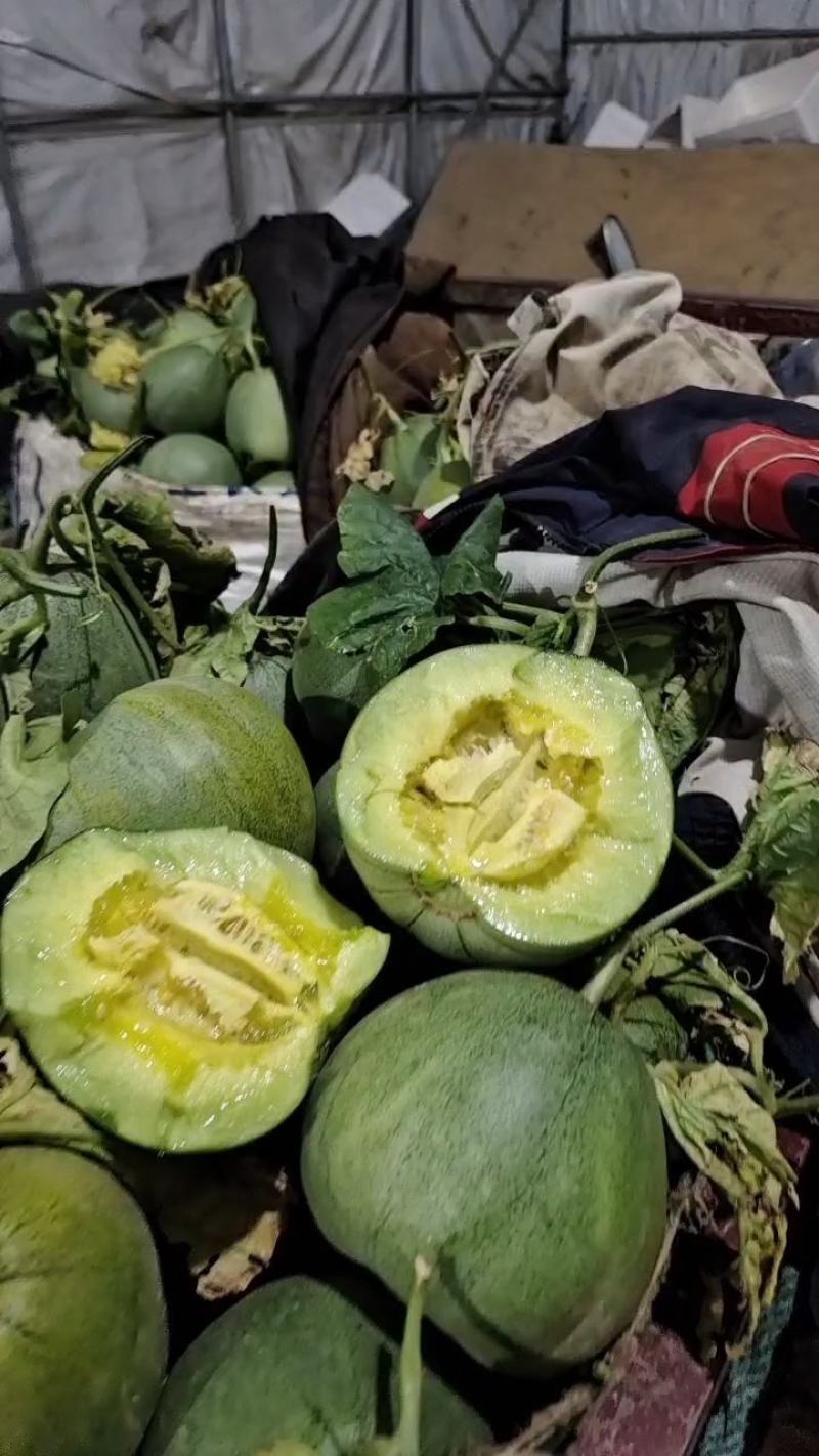 绿宝石【原产地】供应电商，市场，超市货源充足，货量大！！