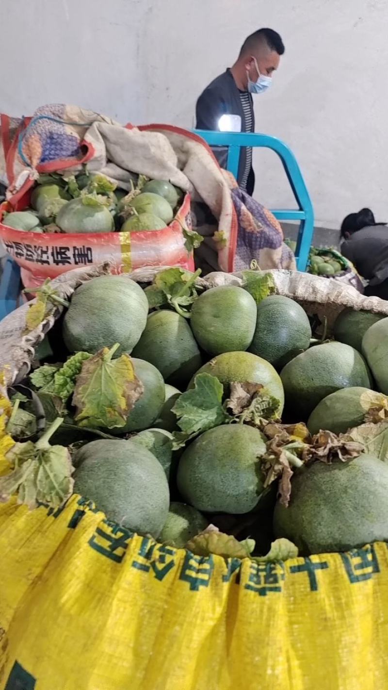绿宝石【原产地】供应电商，市场，超市货源充足，货量大！！