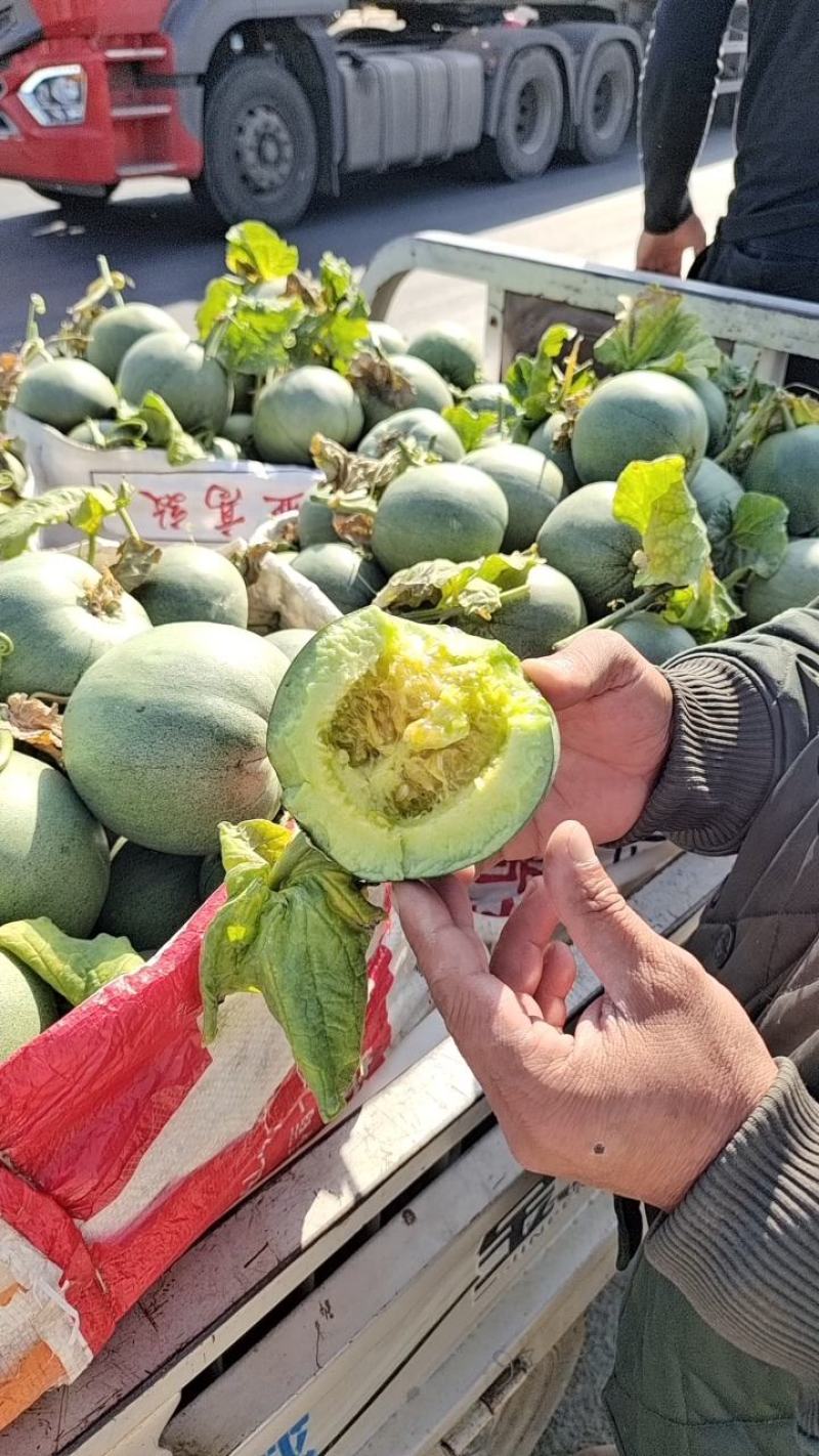 绿宝石【原产地】供应电商，市场，超市货源充足，货量大！！