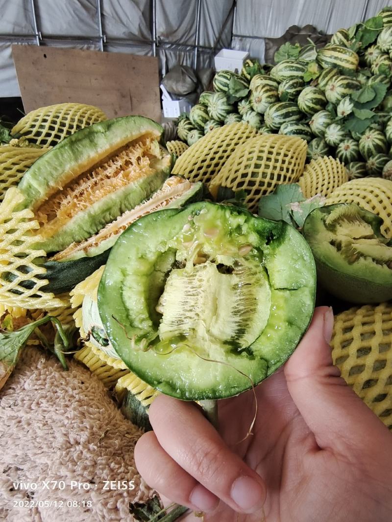 绿宝石【原产地】供应电商，市场，超市货源充足，货量大！！
