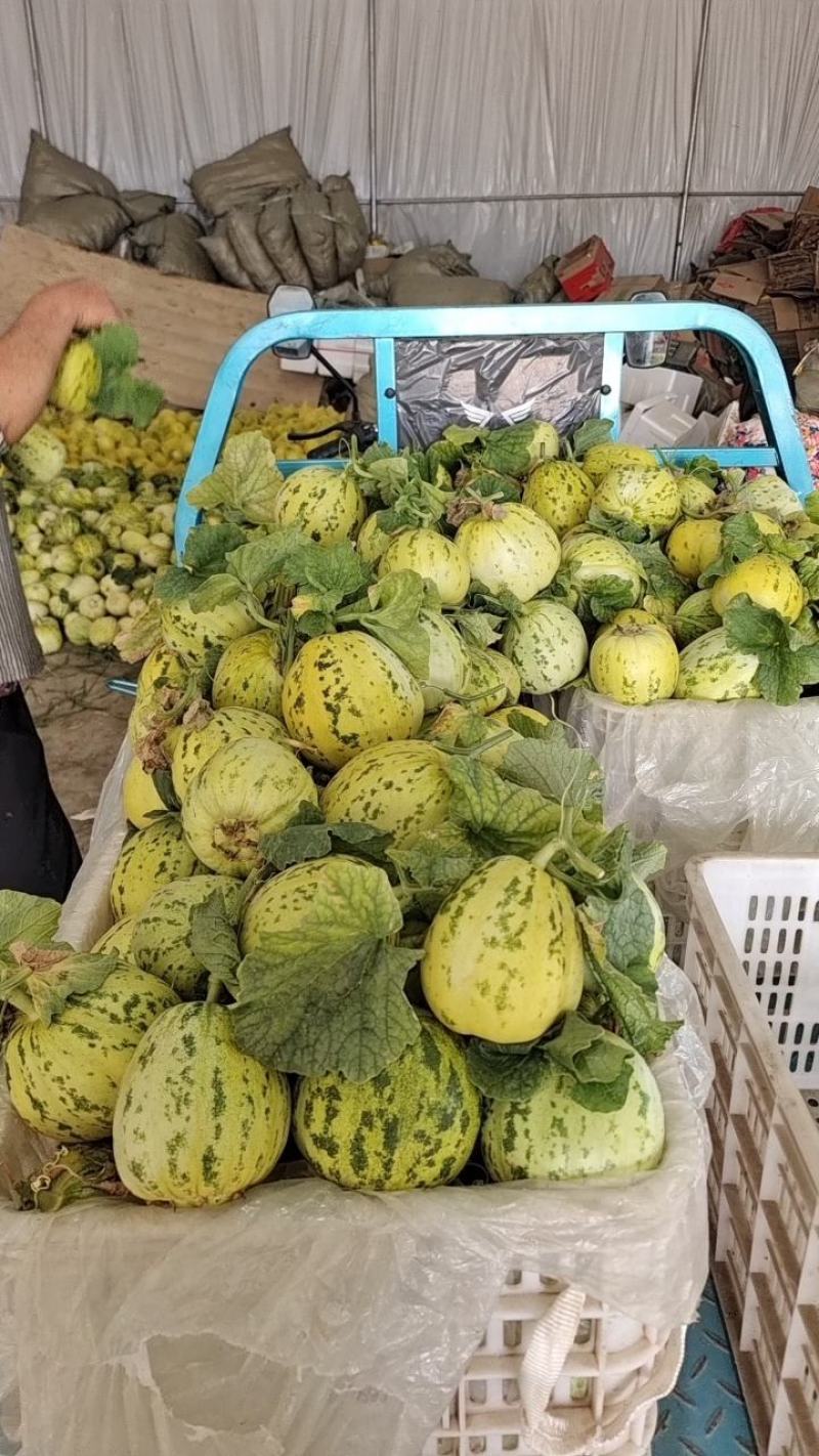 花蕾天香【原产地】可供电商，赶集，市场，超市货源充足量大