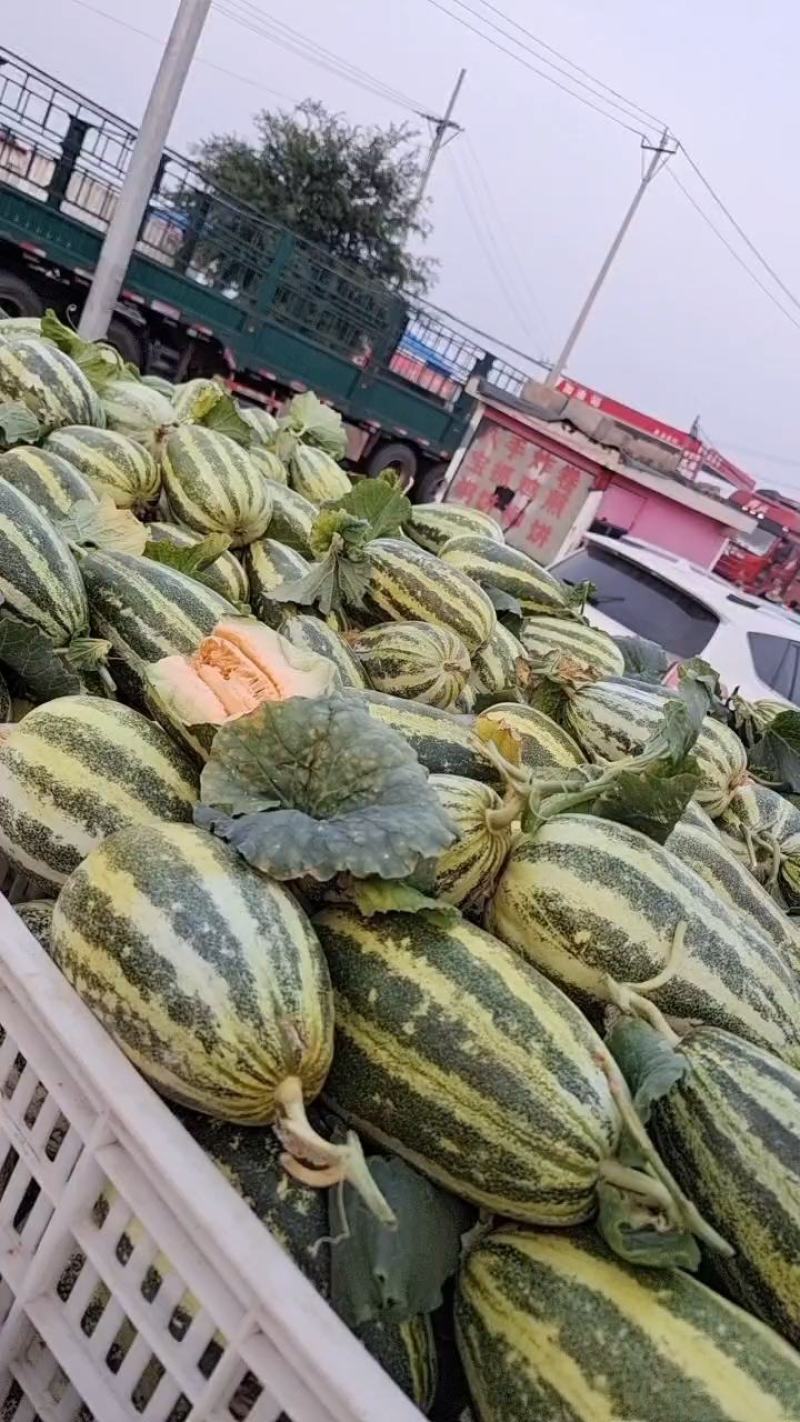 博洋91【原产地】可供电商，市场，超市货源充足货量大！！