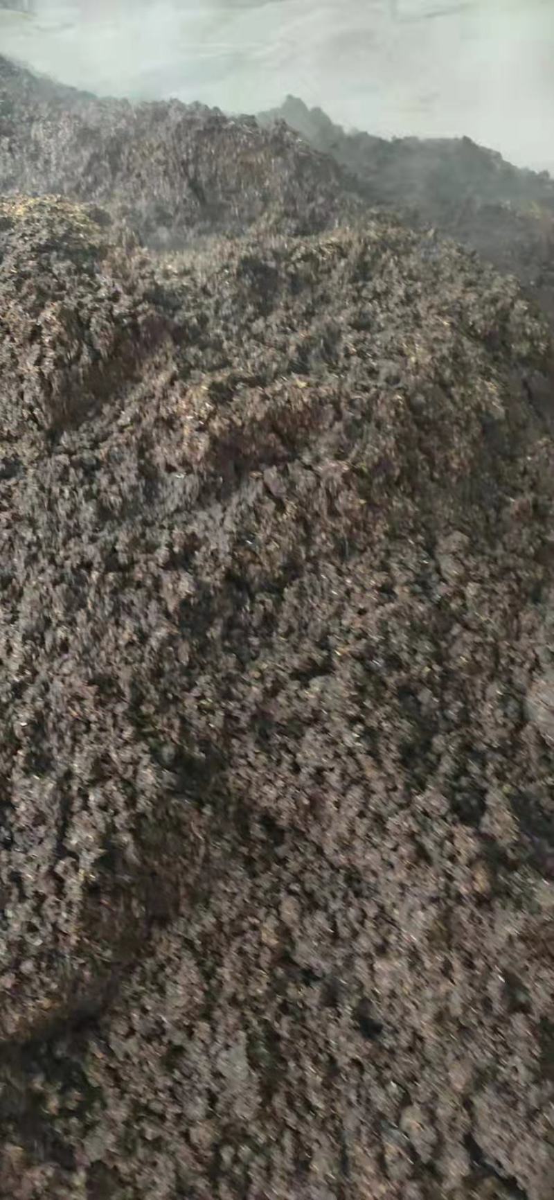 酱香酒糟
