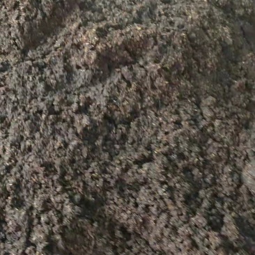 酱香酒糟