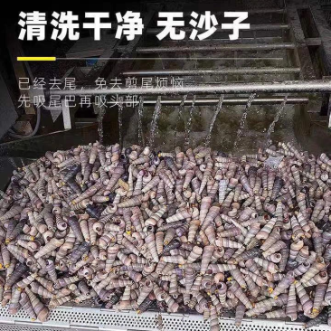 钉螺去尾和不去尾两种