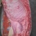 鲜羊肉
