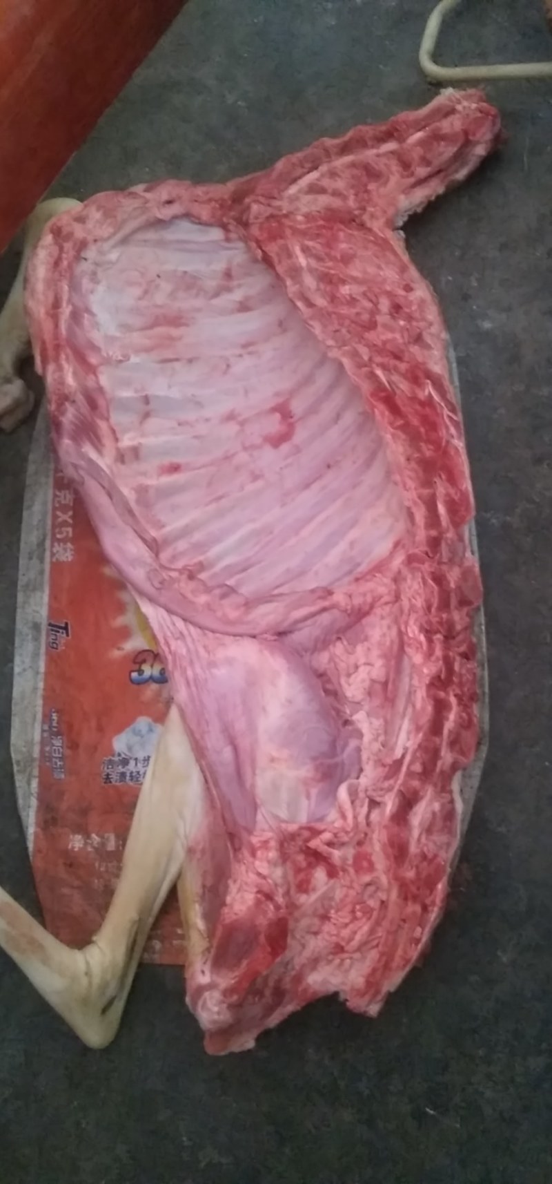 鲜羊肉