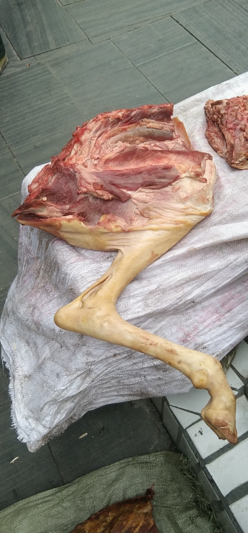 鲜羊肉