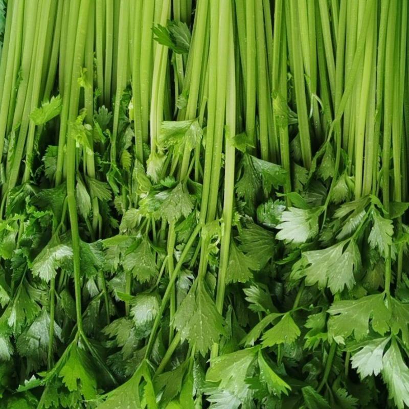 代收山芹黄瓜西瓜