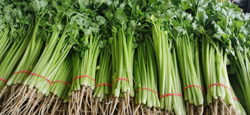代收山芹黄瓜西瓜