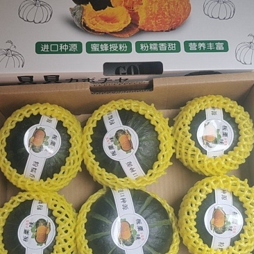贝贝南瓜礼盒装