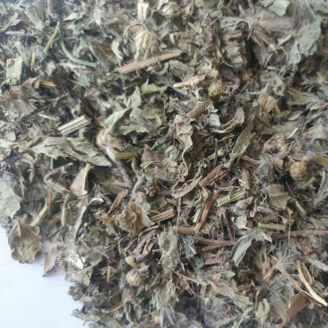 小蓟片子个子