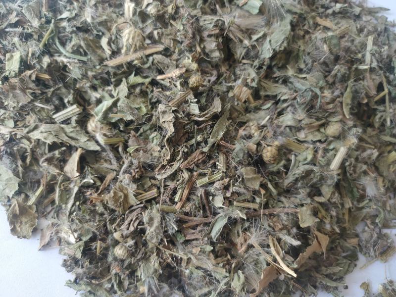 小蓟片子个子