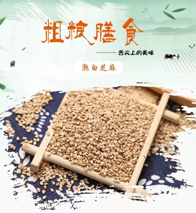 熟白芝麻食品加工小磨香油芝麻酱现货供应袋装50斤