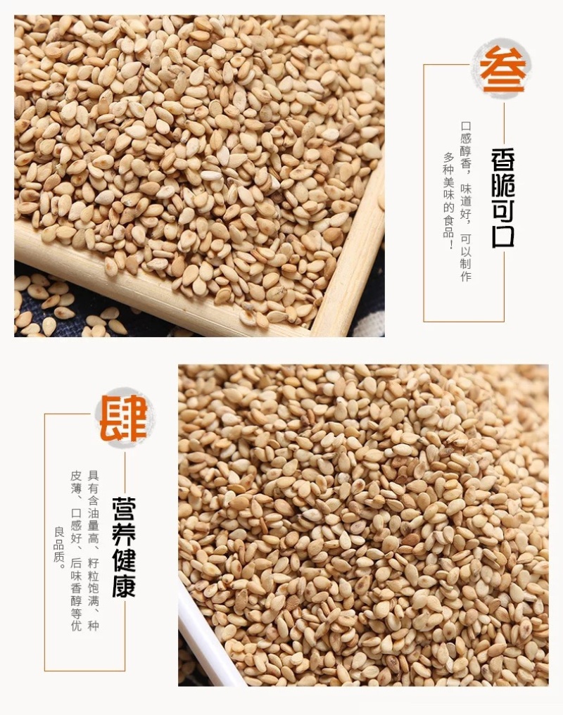熟白芝麻食品加工小磨香油芝麻酱现货供应袋装50斤