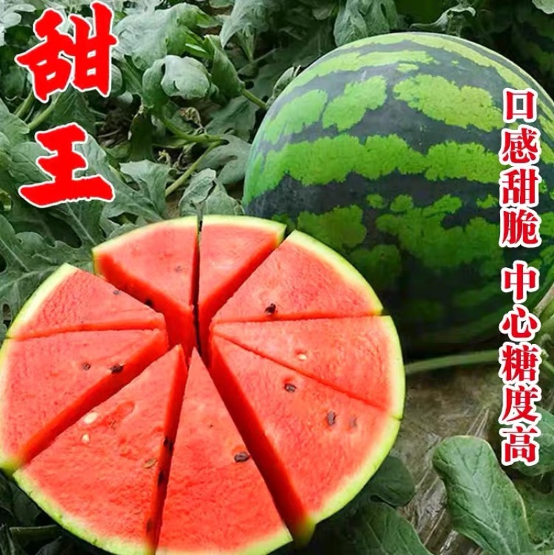 【热销】陕西甜王西瓜，皮薄肉厚个头均匀，提供一条龙服务供应