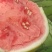 杭州萧山大棚小西瓜早春红玉秀玉等优良产品，专业种植小西瓜
