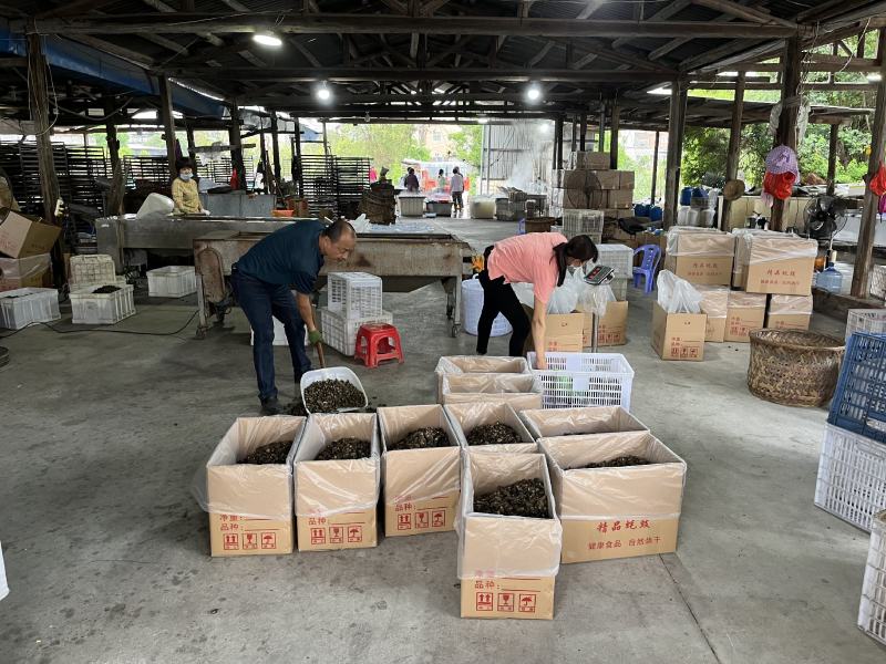 蚝干蚝豉海蛎干牡蛎干海鲜干货原产地直发